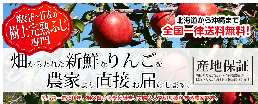 長野 サンふじりんご 通販　泉果園のホームページにようこそ！